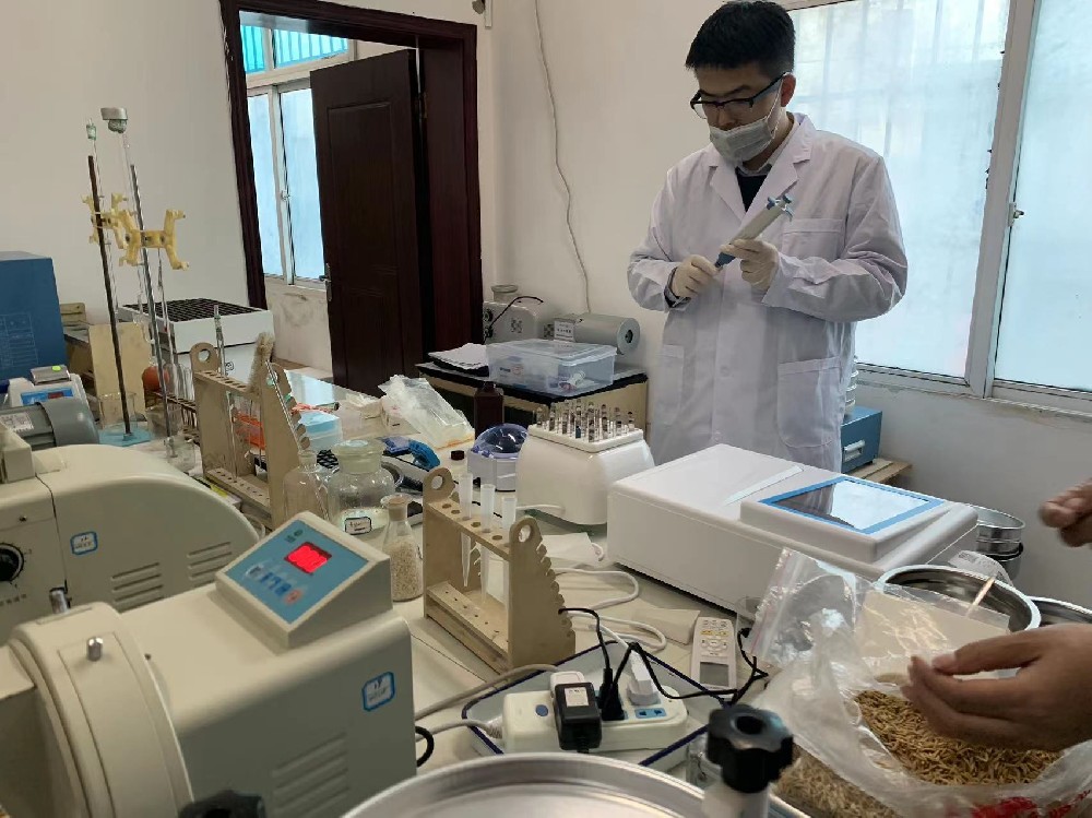 貴陽市開陽縣國家糧食儲備庫采購優(yōu)云譜稻谷新鮮度檢測儀